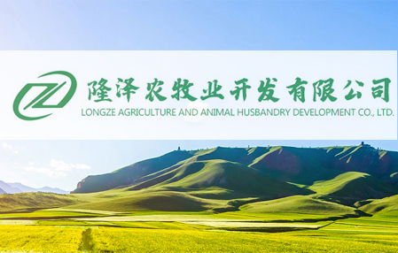 內蒙古網站優化,內蒙古隆澤農牧業開發有限責任公司